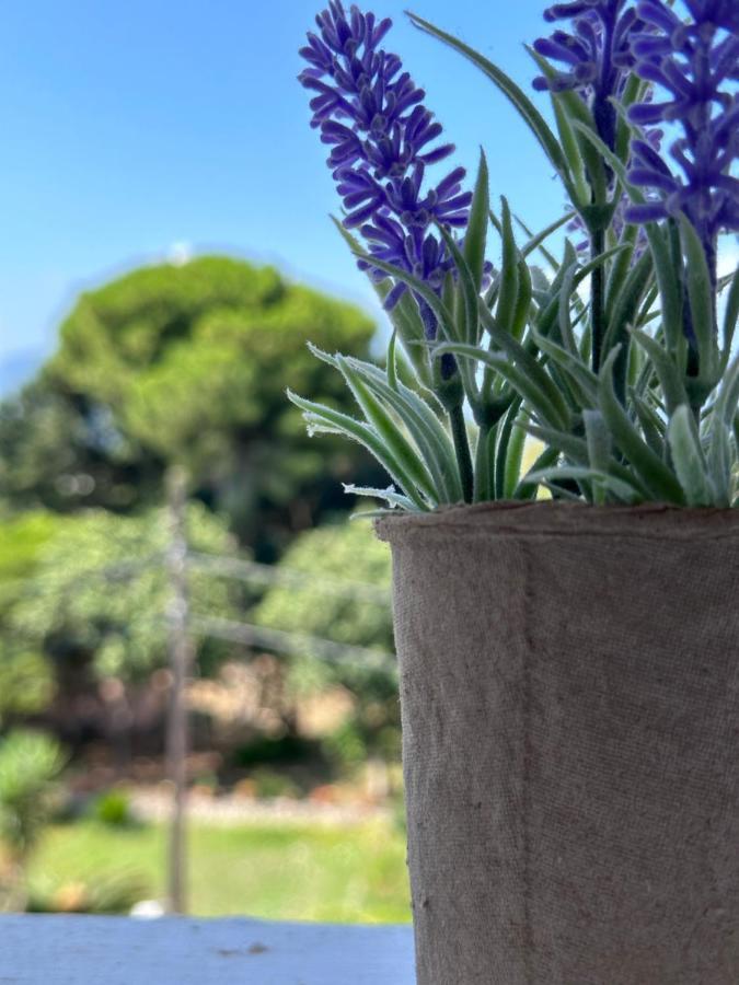 Olia Apartment Korfu Dış mekan fotoğraf