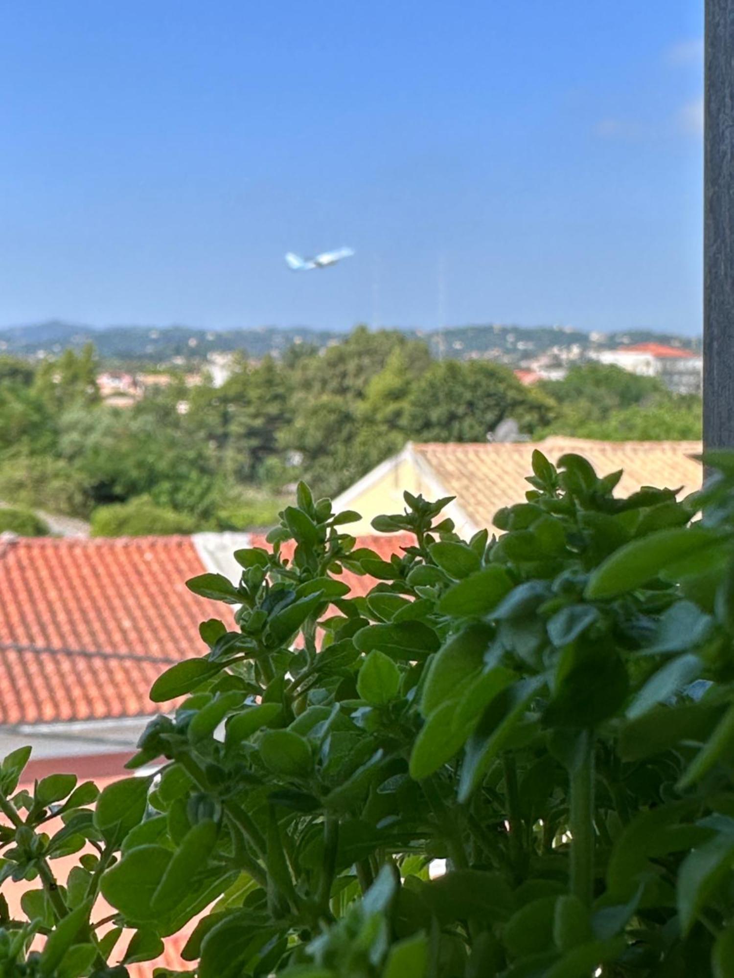 Olia Apartment Korfu Dış mekan fotoğraf